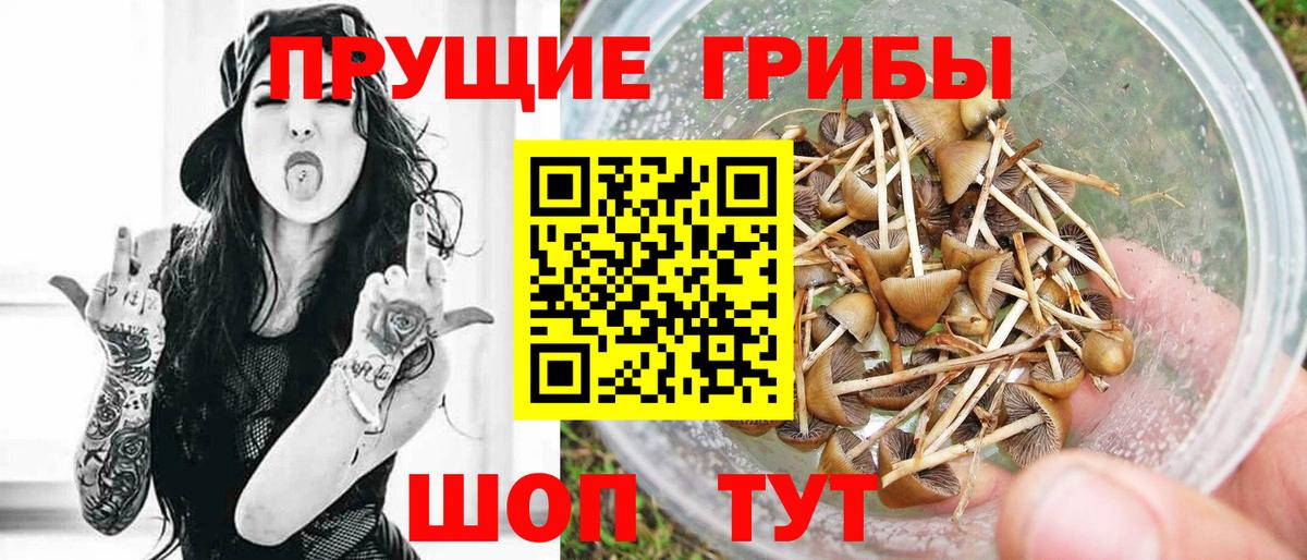 Псилоцибиновые грибы MAGIC MUSHROOMS Камышин