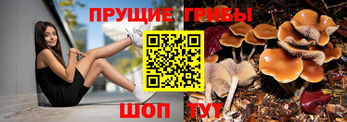 Псилоцибиновые грибы ЛСД  Псилоцибиновые грибы Psilocybe  Камышин  Вход с VPN 